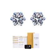 925 Sterling Silber Moissanite Ohrstecker 0,3ct